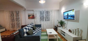 Beautiful Renovated Flat in Athens (The Dem Flat)